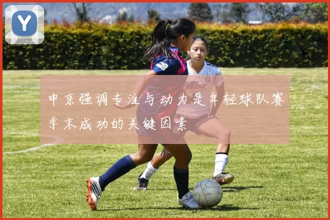 申京强调专注与动力是年轻球队赛季末成功的关键因素